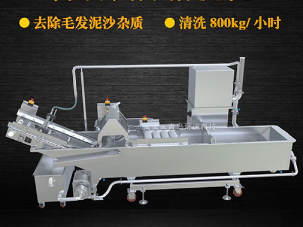 蔬菜清洗機(jī)，氣泡清洗，清洗800kg/小時(shí)