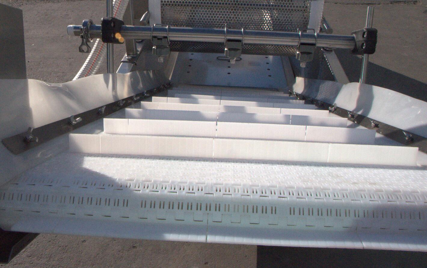 鴨腸的變身過程，讓你大跌眼驚